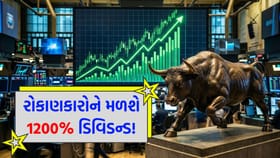 કંપનીએ કર્યું 1200% ડિવિડન્ડનું એલાન, શું તમારી પાસે છે આ શેર?
