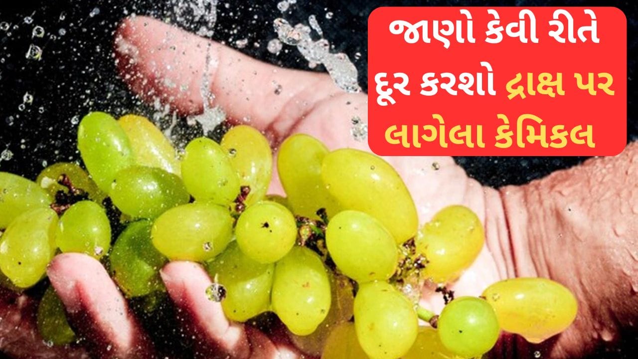 દ્રાક્ષ પર લાગેલા કેમિકલને ઘરે કઈ રીતે સાફ કરશો, જાણો આ ઘરેલૂ રીતો...