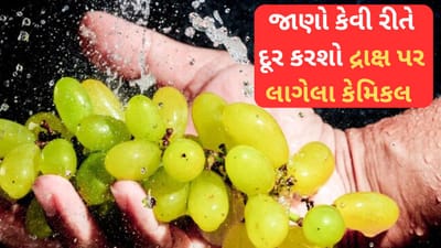 દ્રાક્ષ પર લાગેલા કેમિકલને ઘરે કઈ રીતે સાફ કરશો, જાણો આ ઘરેલૂ રીતો...