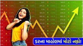 બજારમાં 'બ્લડબાથ' છતાં આ શેરોમાં જોવા મળી તેજીની સુનામી