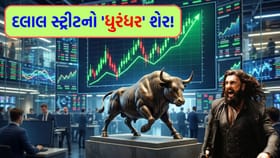 'ધુરંધર 2' ના ક્રેઝથી આ એક શેર બન્યો રોકેટ, શું તમારી પાસે છે?