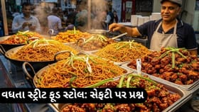 શહેરોમાં વધતા સ્ટ્રીટ ફૂડ સ્ટોલ, ફૂડ સેફટીનો પડકાર
