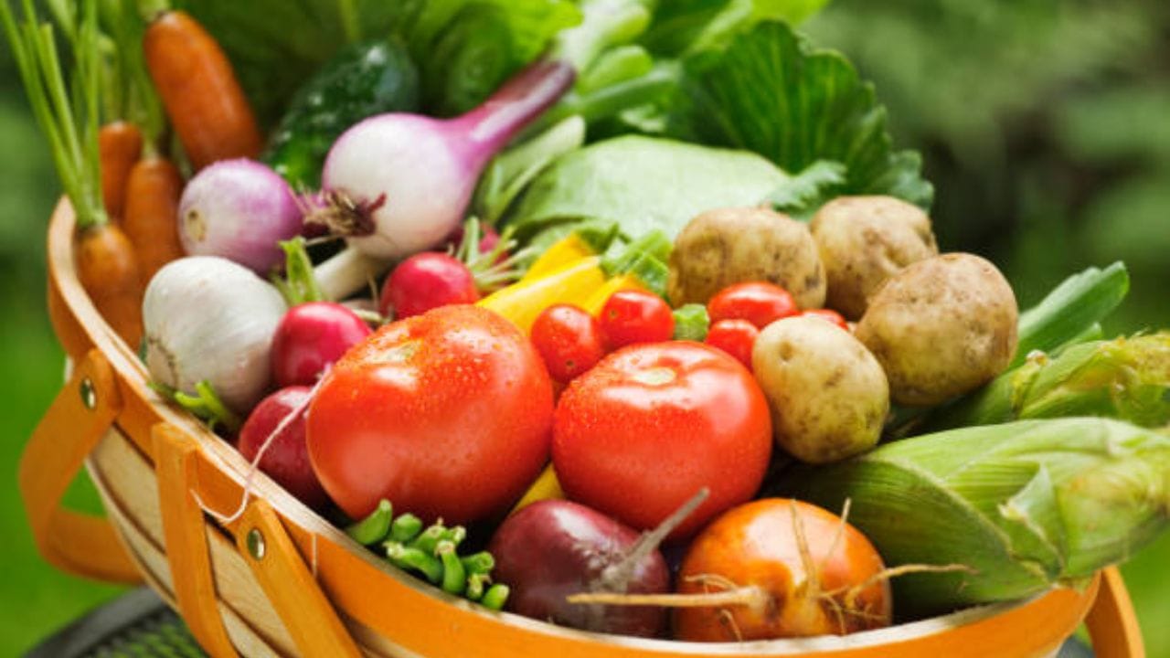 હકીકતમાં, શાકભાજીને લાંબા સમય સુધી તાજી રાખવા માટે યોગ્ય રીતે સંગ્રહિત રાખવા જરૂરી છે. જો યોગ્ય તાપમાને અને યોગ્ય રીતે સંગ્રહિત કરવામાં આવે, તો તેમની તાજગી ઘણા દિવસો સુધી ટકી શકે છે. જો તમે તમારી ખરીદેલી શાકભાજીને લાંબા સમય સુધી તાજી રાખવા માગતાં હોવ, તો યોગ્ય સંગ્રહ પદ્ધતિઓ જાણવી ખૂબ જ મહત્વપૂર્ણ છે.