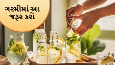 Summer Hydration Kit: ઉનાળામાં પીવાનું પાણી પૂરતું નથી, ન્યુટ્રિશનિસ્ટે જણાવી સમર કિટ, જુઓ વીડિયો
