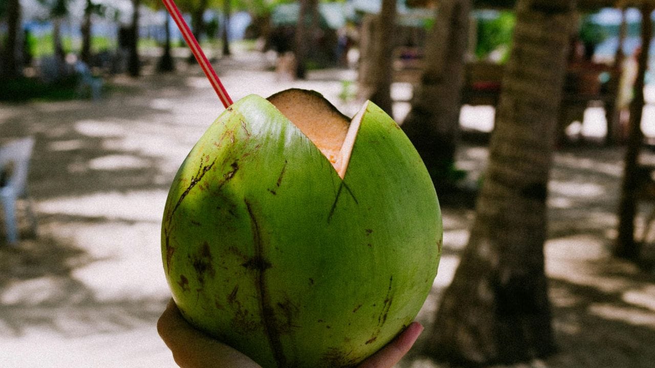 આ સિવાય, નાળિયેરની બહારની સપાટી જો ચળકતી હોય તો તે તાજું માનવામાં આવે છે. સૂકી અને ખરબચડી સપાટી વાળા નાળિયેરથી દૂર રહેવું વધુ સારું. (Image Credit Source: Canva)