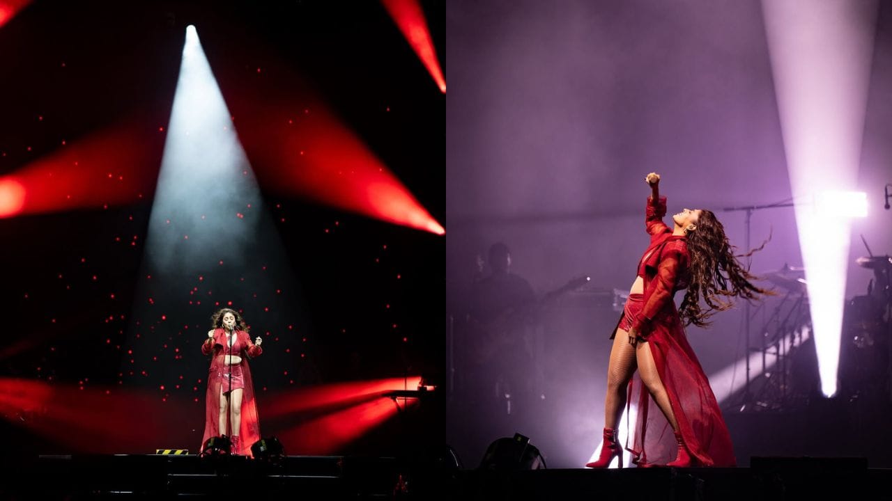 લગ્નની શરૂઆતમાં બધું સામાન્ય લાગતું હતું, પરંતુ થોડા સમય બાદ બંને વચ્ચે મતભેદો વધવા લાગ્યા. પ્રેમ માટે લીધેલો આ મોટો નિર્ણય ધીમે ધીમે મુશ્કેલીઓમાં ફેરવાયો. અંતે, લગ્નના માત્ર એક વર્ષમાં જ બંનેએ છૂટાછેડા લઈ લીધા.