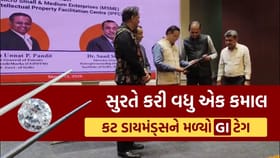 સુરતના કટ ડાયમંડ્સને મળ્યો GI ટેગ
