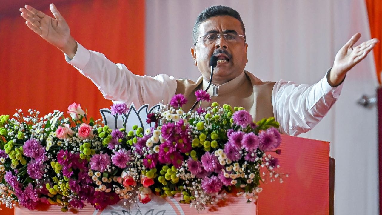 તેઓ 2009 થી 2016 સુધી તામલુકથી લોકસભાના સભ્ય અને 2020 થી 2021 સુધી જ્યુટ કોર્પોરેશન ઓફ ઈન્ડિયાના અધ્યક્ષ પણ રહ્યા. તેઓ 1998 થી 2020 સુધી તૃણમૂલ કોંગ્રેસના ભૂતપૂર્વ સભ્ય અને 1995 થી 1988 સુધી ભારતીય રાષ્ટ્રીય કોંગ્રેસના ભૂતપૂર્વ સભ્ય હતા.