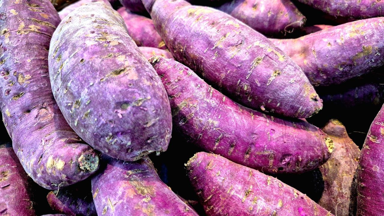 શક્કરિયા સાચા છે કે નકલી તે જાણવા માટે સૌપ્રથમ કપાસનો સ્વેબ લો અને તેને પાણી અથવા વનસ્પતિ તેલમાં પલાળો. પછી શક્કરિયાની બહારની સપાટી પર આ સ્વેબથી હળવેથી ઘસો. જો શક્કરિયા શુદ્ધ હશે, તો સ્વેબનો રંગ બદલાશે નહીં. પરંતુ જો તેમાં ભેળસેળ હશે, તો સ્વેબ પર લાલ કે જાંબલી રંગ દેખાશે.