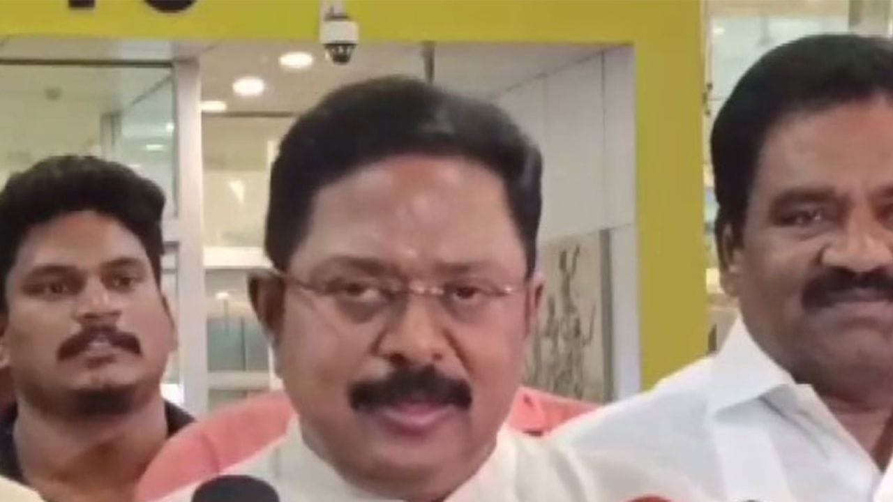 દિનાકરણનો જન્મ 12 ડિસેમ્બર 1963ના રોજ થયો હતો. તેઓ શશિકલાની બહેન વનિતામણિ, ટી. વિવેકાનંદમ મુનિયારૈયારના પુત્ર છે. તેમના નાના ભાઈ બાસ્કરન "બાસ" એ થલાઈવન 2014માં અભિનેતા તરીકે સિનેમામાં થોડો સમય કામ કર્યું હતું.દિનાકરણને ઠંડા મગજના અને ધાર્મિક વ્યક્તિ તરીકે વર્ણવવામાં આવે છે.