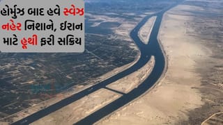 હવે યુરોપ અને મધ્યપૂર્વના દેશોમાં સર્જાશે ઈંધણ-ગેસની તંગી ! ઈરાનના સાથીદાર હુથીએ સ્વેજ નહેર પર જમાવ્યો કબજો