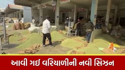 ખુશખબર : ઊંઝા APMCમાં વરિયાળીની નવી આવકનો ધમધમાટ, ભાવ સ્થિર, જુઓ Video