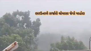 રાજ્યમાં ભરઉનાળે વાતાવરણમાં આવશે પલટો, 18 થી 20 માર્ચ દરમિયાન વરસાદ પડવાની હવામાન વિભાગની આગાહી- Video