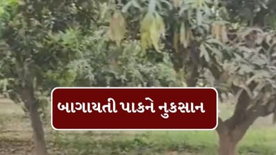 Breaking News : કમોસમી વરસાદ અને ભારે પવનની સૌથી વધુ અસર બાગાયતી પાકો પર જોવા મળી, જુઓ વીડિયો