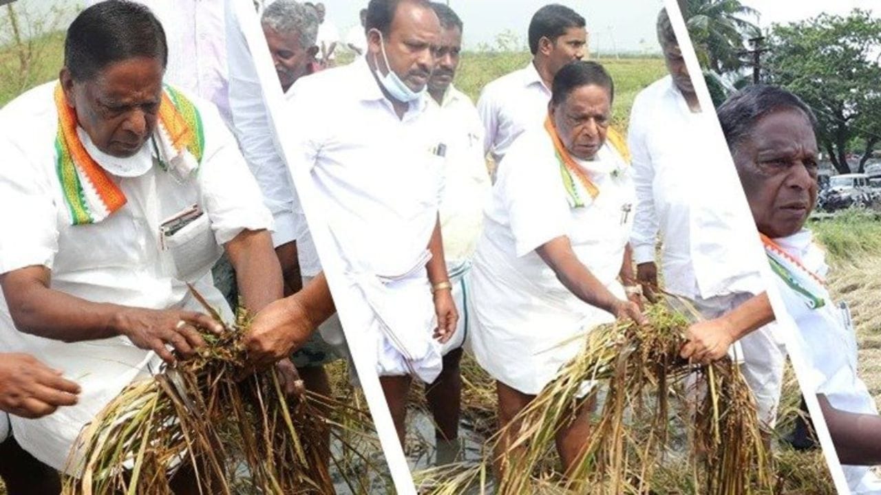 નારાયણસામી કોંગ્રેસના વરિષ્ઠ નેતાઓ સાથે ગાઢ સહયોગ અને સંગઠન પ્રત્યેની તેમની વફાદારી માટે જાણીતા છે.