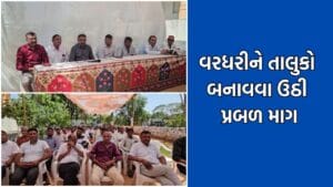 સ્થાનિક સ્વરાજ્યની ચૂંટણી પહેલા લુણાવાડા વરધરીને તાલુકો બનાવવાની માગ બની પ્રબળ- Video