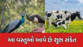 Vastu Tips: ઘરથી નીકળતી વખતે જો આ વસ્તુઓ દેખાય તો થશે શુભ લાભ