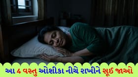 રાત્રે સૂતી વખતે ઓશીકા નીચે રાખો આ '4 વસ્તુ', ઘરમાં આવશે 'સુખ-સમૃદ્ધિ'
