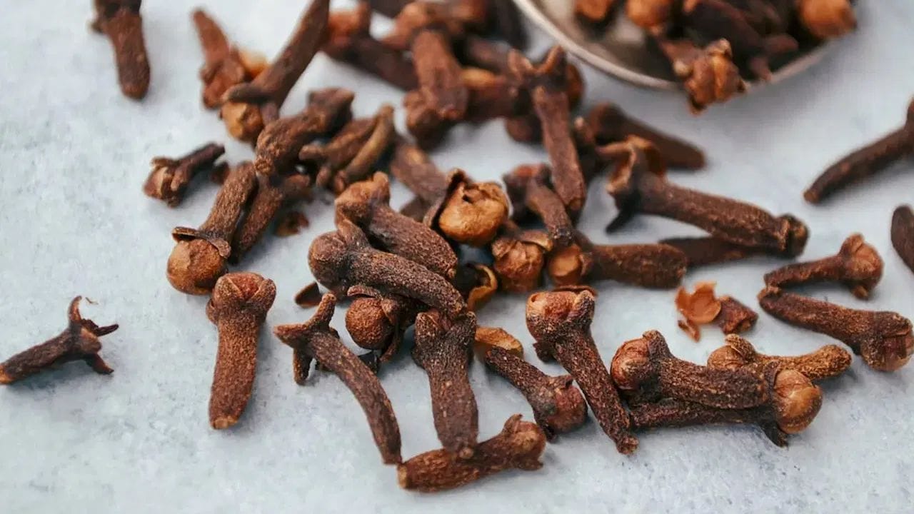 જો તમે જીવનમાં પ્રગતિ અને શુભ ફળ ઈચ્છો છો, તો રાત્રે સૂતા પહેલા ઓશીકા નીચે લવિંગની એક જોડી રાખી શકો છો. સવારે ઉઠ્યા પછી આ લવિંગને કપૂર સાથે સળગાવી દો. આમ કરવાથી વાતાવરણ શુદ્ધ થાય છે અને માનવામાં આવે છે કે, નકારાત્મક ઊર્જા દૂર થઈ જાય છે. જ્યોતિષીય માન્યતા અનુસાર, આ ઉપાય ઘરમાં સકારાત્મક ઊર્જા લાવવામાં અને અટકેલા કામોને વેગ આપવામાં મદદ કરે છે. નિયમિત રીતે થોડા દિવસો સુધી આ ઉપાય કરવાથી શુભ પરિણામ મળવાની શક્યતા વધે છે.