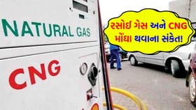 શું હવે CNG અને રસોઈ ગેસના ભાવમાં આવશે મોટો ઉછાળો?