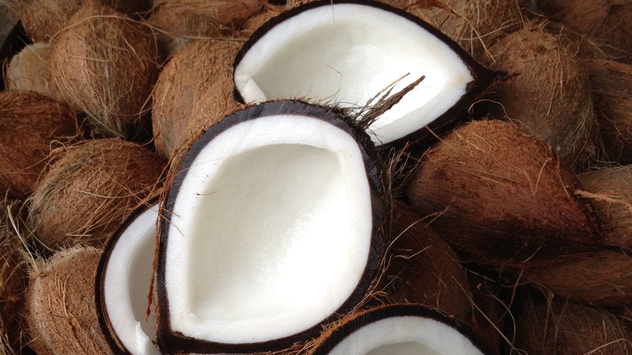 નારિયેળ પાણી માત્ર એક પીણું નથી, પરંતુ તે 'કુદરતી ઈલેક્ટ્રોલાઈટ્સ' (Natural Electrolytes) નો ખજાનો છે, જે ઉનાળામાં ડિહાઈડ્રેશન સામે લડવામાં શરીરને મદદ કરે છે. તરબૂચના વિટામિન્સ અને નારિયેળ પાણીના મિનરલ્સનું આ સંગમ એક પરફેક્ટ હાઈડ્રેટિંગ ટ્રીટ બનાવે છે.