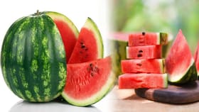 ઉનાળાનું ફળ તરબૂચ ગળ્યું હોય છે કે નહીં