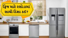 રસોડામાં ફ્રિજ રાખતા પહેલાં જાણો આ વાસ્તુ નિયમો, નહીં તો થઈ શકે નુકસાન