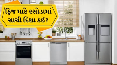 Vastu Tips: રસોડામાં રેફ્રિજરેટર કઈ દિશામાં રાખવું જોઈએ? શું તમે આ ભૂલ કરી રહ્યા છો?