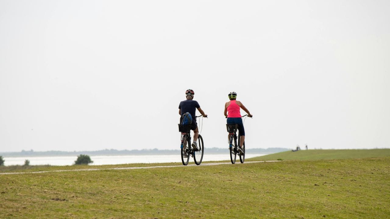 જીવન માટે મહત્વ: આ ખારાશ માત્ર સ્વાદ માટે જ નહીં, પરંતુ શરીરના સ્વાસ્થ્ય માટે પણ જરૂરી છે. સોડિયમ અને ઇલેક્ટ્રોલાઇટ્સ મગજ, માંસપેશી અને નર્વ સિગ્નલ માટે મહત્વપૂર્ણ છે. યોગ્ય માત્રામાં તે શરીરની તાપમાન નિયંત્રણ, પાણીનું સંતુલન અને સેલ (કોષ) રિપેરમાં મદદ કરે છે. (Image Credit Source: Social Media) 
