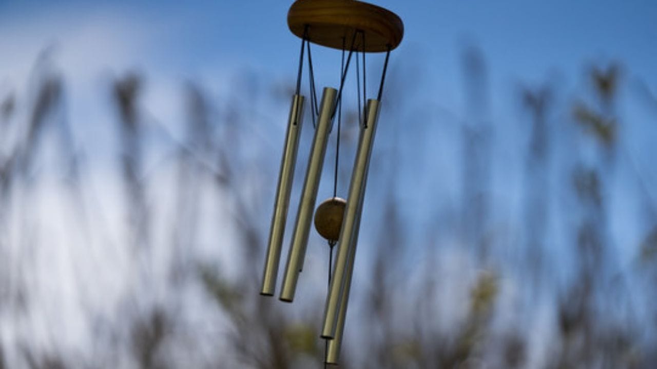 વાયવ્ય દિશા: ઘરની વાયવ્ય દિશામાં સોના અથવા પીળી ધાતુના વિન્ડ ચાઇમ મૂકવા ફાયદાકારક માનવામાં આવે છે. એવું માનવામાં આવે છે કે આનાથી પ્રગતિની તકો વધે છે અને વિદેશ યાત્રા પણ થઈ શકે છે.