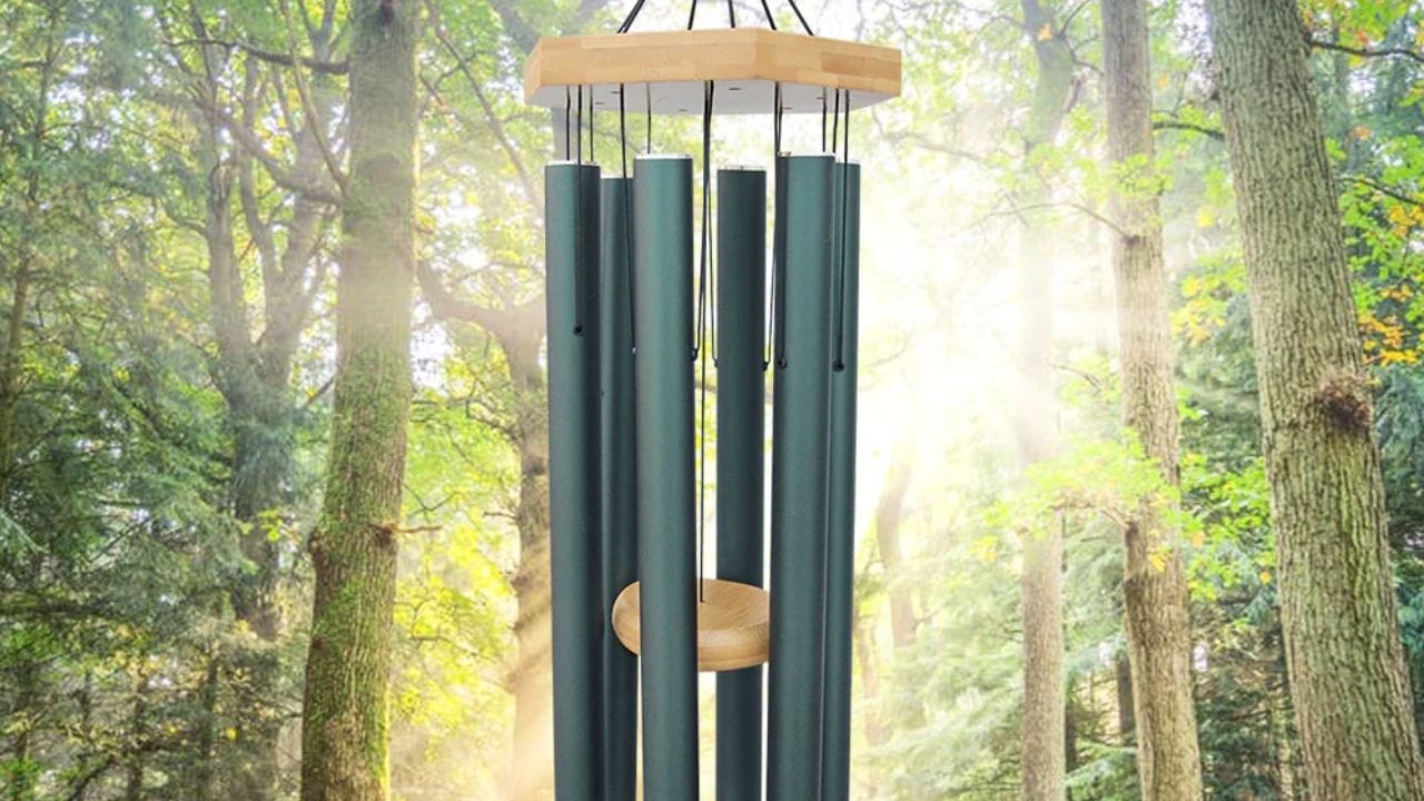 દરવાજા કે બારી પાસે: તમારા ઘર કે ઓફિસમાં દરવાજા કે બારી પાસે વિન્ડ ચાઇમ મૂકી શકાય છે. જેથી જ્યારે પવન ફૂંકાય ત્યારે તેનો મધુર અવાજ સમગ્ર વાતાવરણમાં ફેલાય અને સકારાત્મક ઉર્જાનો સંચાર થાય.