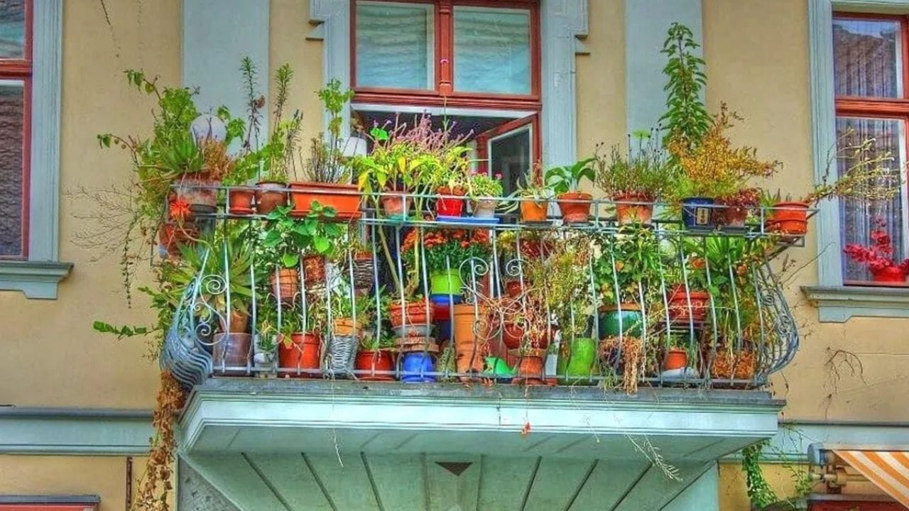 એવું માનવામાં આવે છે કે બાલ્કનીની યોગ્ય સજાવટ અને દિશા તમારા ઘરમાં સુખ, સમૃદ્ધિ અને માનસિક શાંતિ લાવે છે. ઘર ખરીદતી વખતે અથવા બાલ્કની બનાવતી વખતે, તેની દિશા પર ધ્યાન આપો. (ફોટો ક્રેડિટ-સોશિયલ મીડિયા)