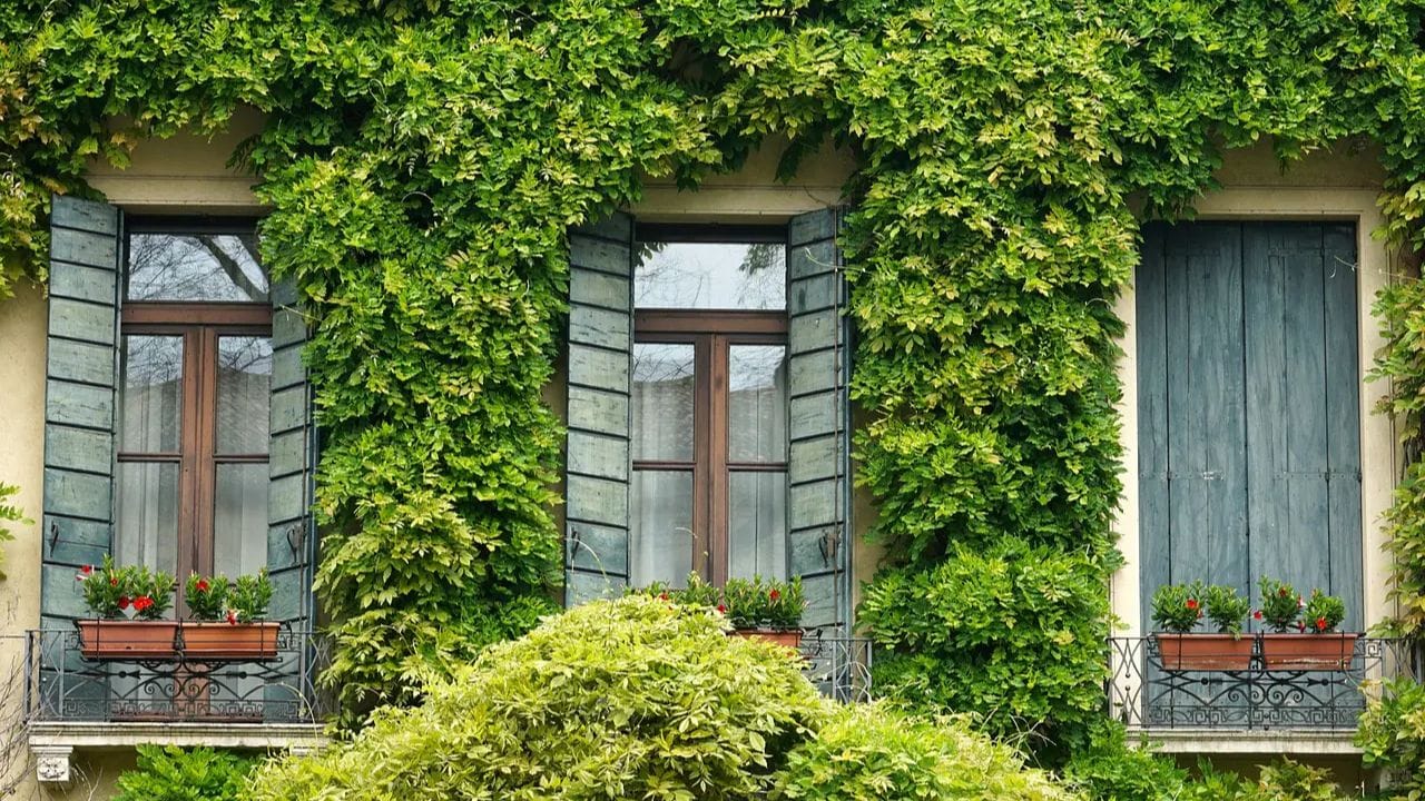 બાલ્કનીની દિવાલો અને ફર્નિચર માટે સફેદ, ક્રીમ, આછો વાદળી અથવા પીળો જેવા હળવા રંગો પસંદ કરો. આ રંગો પ્રકાશ વધારે છે અને જગ્યાને સકારાત્મક ઉર્જાથી ભરી દે છે. (ફોટો ક્રેડિટ-સોશિયલ મીડિયા)