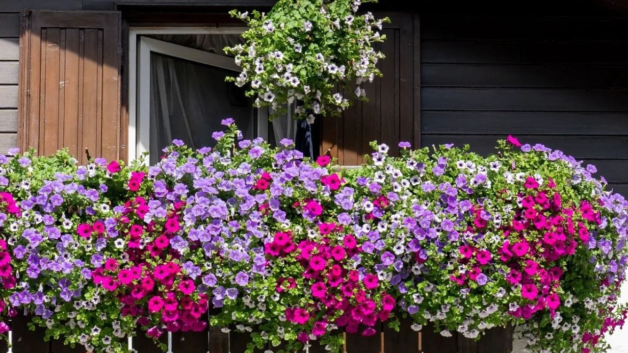 સાંજે ઝાંખો પ્રકાશ રાખવાથી વાતાવરણ શાંત અને સકારાત્મક રહે છે. સાંજે દીવો અથવા સુગંધિત અગરબત્તી પ્રગટાવવી પણ શુભ માનવામાં આવે છે; તે ઘરમાં શાંતિ, ખુશી અને સકારાત્મક ઉર્જા લાવે છે. (ફોટો ક્રેડિટ-સોશિયલ મીડિયા)