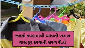 કપડામાંથી ખરાબ વાસ કેમ આવે છે? જાણો