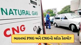 ભારત પાસે કેટલા દિવસ ચાલે તેટલો PNG અને CNGનો સ્ટોક છે?