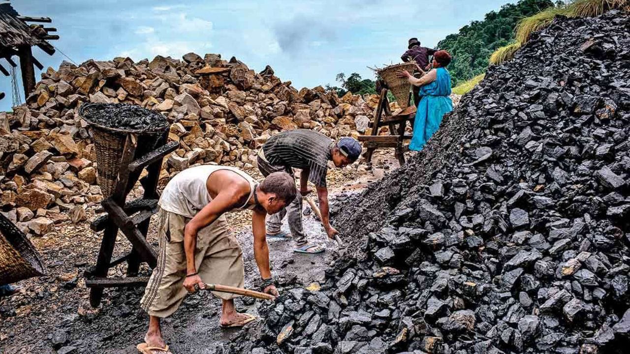 આજે સમગ્ર એનર્જી પેકમાં વધારો જોવા મળી રહ્યો છે. એનર્જી શેર બજારના ફાયદામાં આગળ વધી રહ્યા છે. કોલ ઇન્ડિયાના શેર 3.29% વધ્યા છે, જ્યારે ONGC ના શેર 2.69% વધ્યા છે. (ફોટો ક્રેડિટ- સોશિયલ મીડિયા)