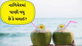 Summer Hydration : ગરમીમાં પરફેક્ટ નાળિયેર કેવી રીતે પસંદ કરવું? જાણો સરળ રીત