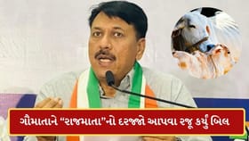 ચૂંટણી પહેલા ગૌમાતાને “રાજમાતા”નો દરજ્જો આપવા કોંગ્રેસે રજૂ કર્યું બિલ