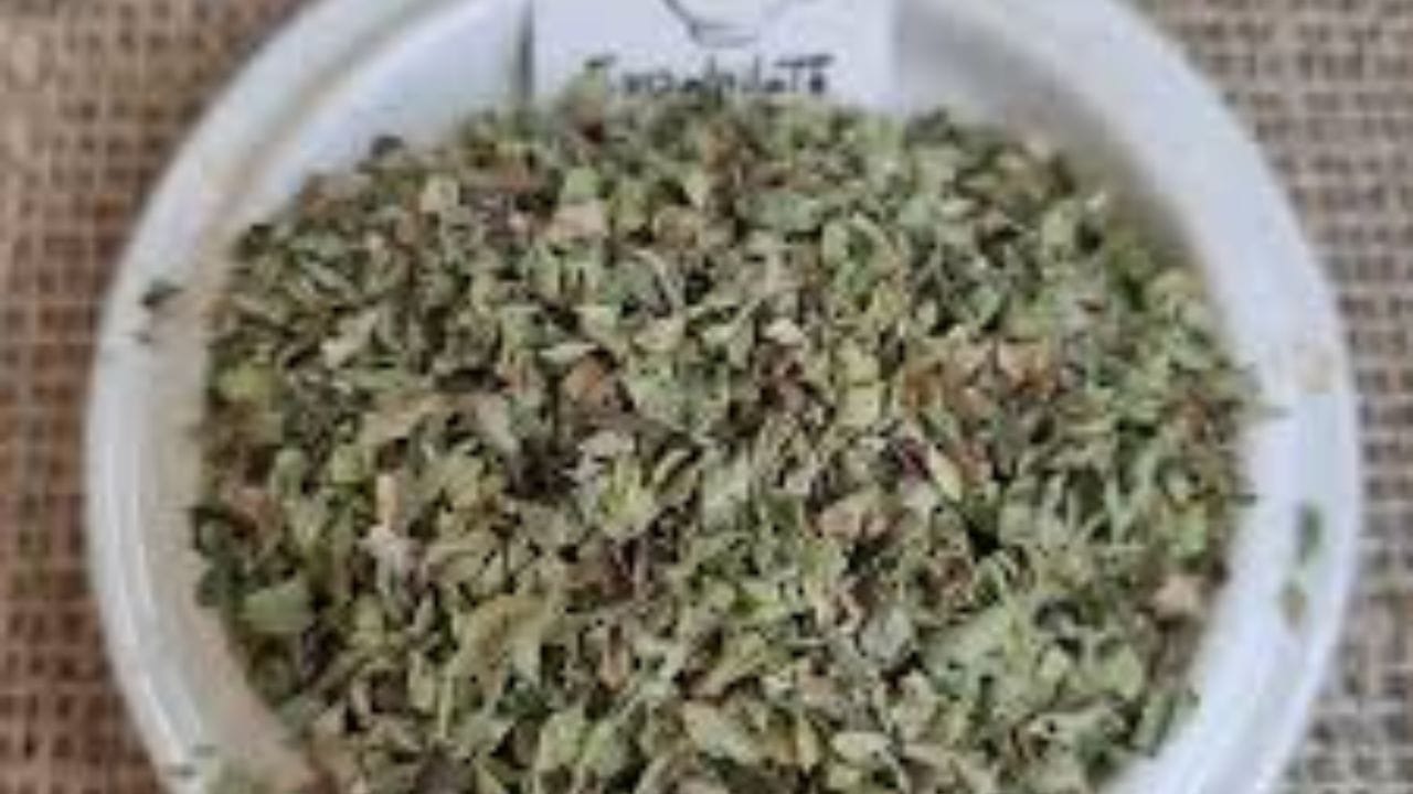 ઓરેગાનો સીઝનીંગને લાંબા સમય સુધી ફ્રેશ કેવી રીતે રાખવું?: ઓરેગાનોને હંમેશા હવાચુસ્ત પાત્રમાં સંગ્રહ કરો. હવાના સંપર્કમાં આવવાથી તેની સુગંધ ઝડપથી જતી રહે છે.
