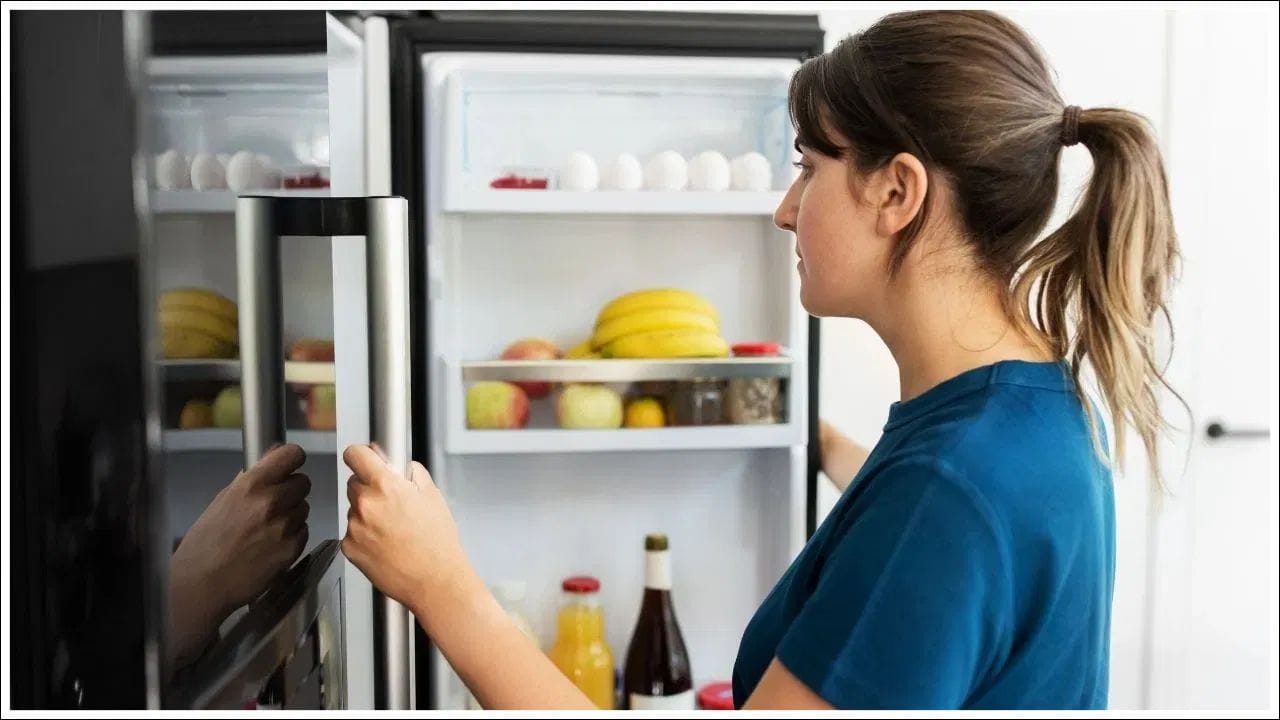 ઉનાળાની શરૂઆત સાથે, રેફ્રિજરેટર ઘરમાં સૌથી વધુ વપરાતું ઇલેક્ટ્રોનિક ઉપકરણ બની જાય છે. ઠંડુ પાણી પીવું હોય, ફળો કે શાકભાજી તાજું રાખવાનું હોય, કે બચેલા ખોરાકને સાચવવાનું હોય, આપણે દરેક વસ્તુ માટે રેફ્રિજરેટર પર આધાર રાખીએ છીએ. પરંતુ ઘણીવાર આપણે એવી ભૂલો કરીએ છે જેના કારણે વીજળીના બીલમાં વધારો થાય છે અને તે ભૂલ છે ફ્રિજમાં ગરમ ખોરાક રાખવાની. (ફોટો ક્રેડિટ-સોશિયલ મીડિયા)