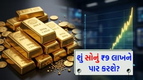 સોનું ₹9 લાખને પાર! એક્સપર્ટ્સે આપ્યો અત્યાર સુધીનો સૌથી મોટો ટાર્ગેટ