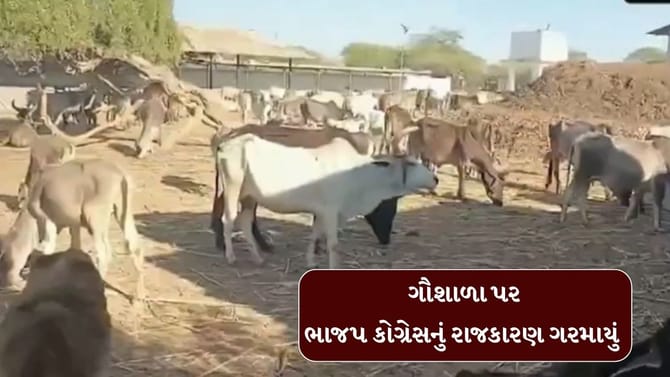 ગૌશાળાના કૌંભાડમાં ભાજપના નેતાનું નામ આવતા રાજકારણ ગરમાયું