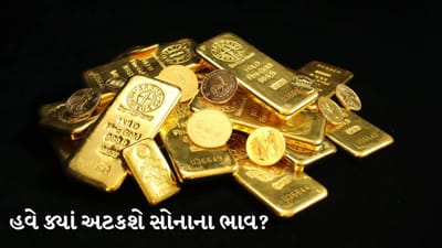 Gold Prices : 20% ઘટાડા પછી સોનામાં મંદી ! આગળ હજુ વધુ ઘટાડાનું જોખમ
