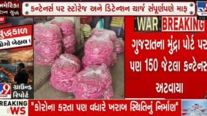 ઈરાન યુદ્ધની સીધી અસર ખેતી પર : ગુજરાતના મુંદ્રા અને મુંબઈ પોર્ટ પર ફ્રૂટ-શાકભાજીના કન્ટેનર્સ ફસાયા
