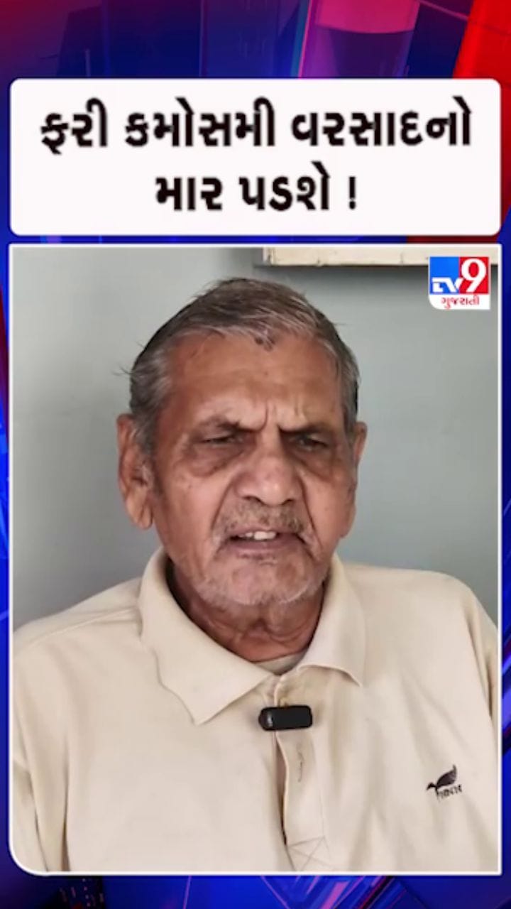 28 માર્ચથી 2 એપ્રિલ સુધીમાં વરસાદની વકી