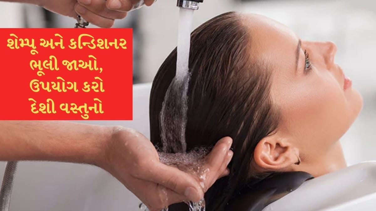 શેમ્પૂ અને કન્ડિશનર ભૂલી જાઓ! ફક્ત આ કુદરતી વસ્તુઓ લગાવો, વાળ રેશમી અને મુલાયમ બની જશે