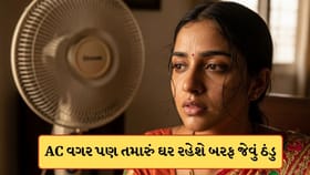 ઘરમાં AC લગાવવાનું નથી બજેટ? તો આ રીતે તમારા ઘરને રાખો બરફ જેવું ઠંડુ