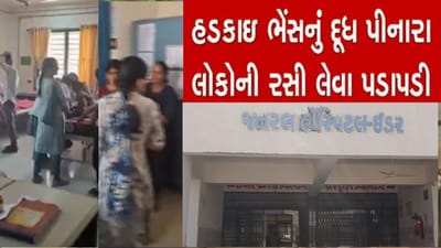 ઈડરમાં શ્વાને ભરેલ બચકાને કારણે ભેંસનુ હડકવાથી મોત થતા, દૂઘ પિનારાઓએ હડકવા વિરોધી રસી લેવા કરી પડાપડી