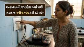 શું તમે પણ ઇન્ડક્શનનો ઉપયોગ કર્યા પછી તરત જ મેઈન સ્વીચ બંધ કરી દો છો?